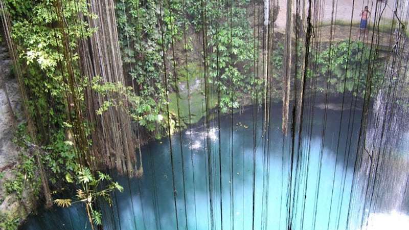 Rescatan a perrito en un cenote en Yucatán, llevaba 3 días atrapado