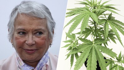 Indicó que es "una planta maravillosa"