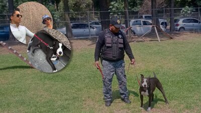 El 'lomito' había sido agredido y rescatado previamente, pero la Fiscalía de la CDMX lo devolvió a su dueño agresor