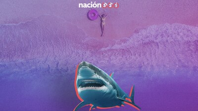 Los tiburones se alimenta de peces, mamíferos marinos y cetáceos