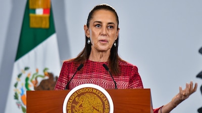 Sheinbaum asegura que plataformas respaldan decreto para bloquear contenido violento en redes sociales