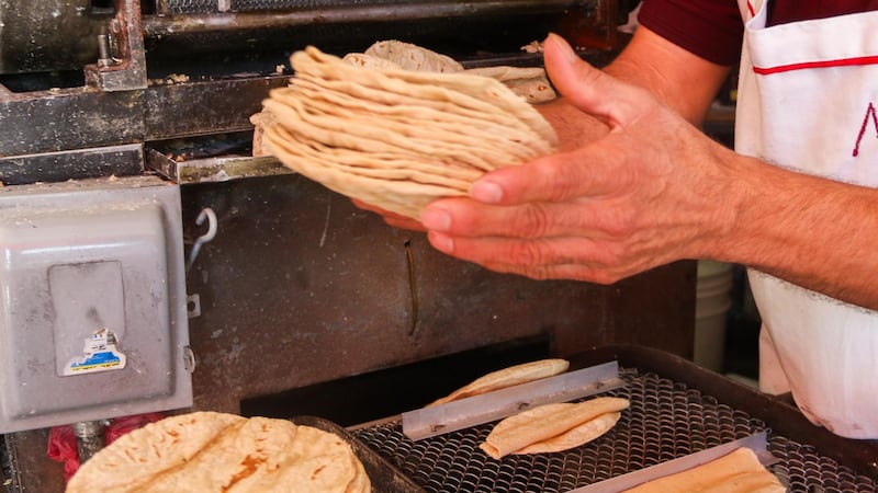 Alza al precio de la tortilla sería “desastroso” para las familias mexicanas, alerta Banamex