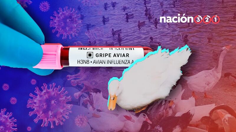 Reportan patos con gripe aviar en Tijuana; cierran en 2 parques por contagios