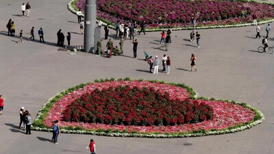 El gobierno de la capital se puso 'las pilas' para decorar el Zócalo para San Valentín
