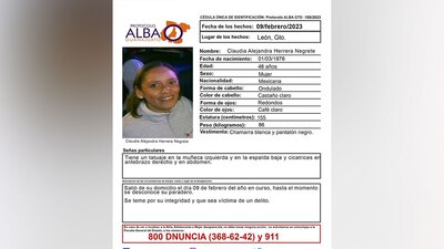 Su cuerpo fue encontrado desmembrado en Guanajuato