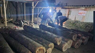 El predio se encuentra clausurado de manera total temporal al no demostrar la legal procedencia