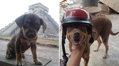 Keb Cetina expresó que siempre recordará al 'lomito' como un excelente guardián