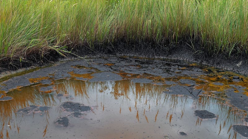 Se derraman más de 30 mil barriles de crudo en río de Tuxpan y Pemex lo atiende días después