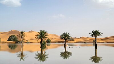 Seis años consecutivos de sequía ha planteado desafíos Marruecos, incluso obligó a los agricultores a dejar de sembrar