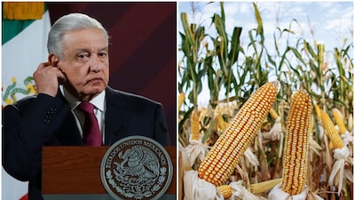 El mandatario se mostró en contra de consumir maíz transgénico en México