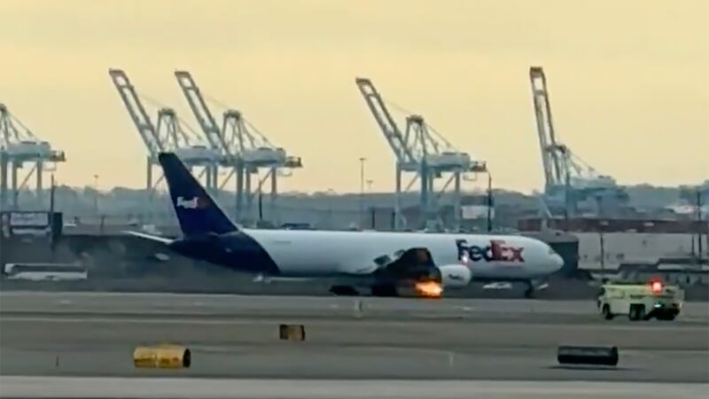 VIDEO: ¡Pájaro peligroso! Avión aterriza de emergencia tras chocar con un ave