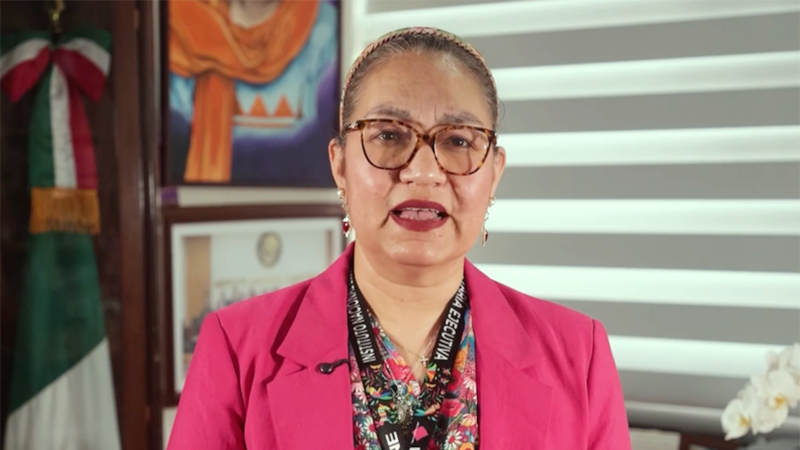 Renuncia Claudia Espino, secretaria Ejecutiva del INE, “por motivos de salud”