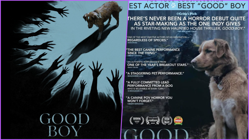 Perro hace historia en los Astra Awards 2026 y gana premio de actuación frente a actores consagrados