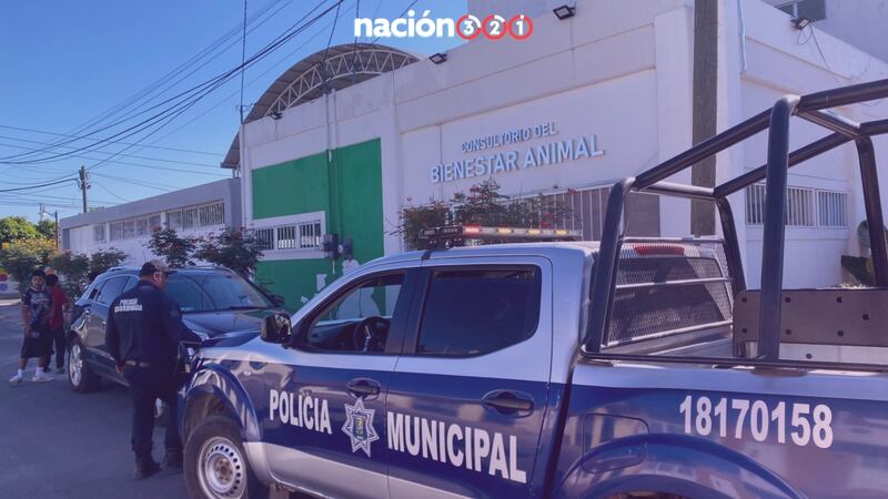 Cierran año en Nayarit con envenenamiento masivo de perros