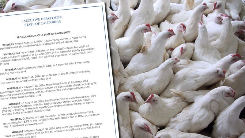 Estados Unidos registra primera persona con gripe aviar severa