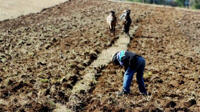 La Conacyt informó que las propuestas fueron presentadas ante AMLO