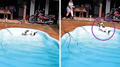 Fue por medio de la red social TikTok que se difundió el video