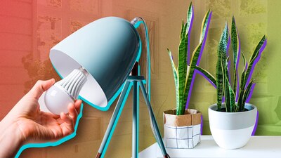 Cambiar focos por iluminación led y poner plantas adecuadas, te ayudarán a que tu hogar esté más fresco