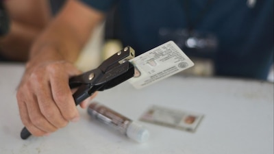 La nueva credencial será más segura y contará con nuevos elementos