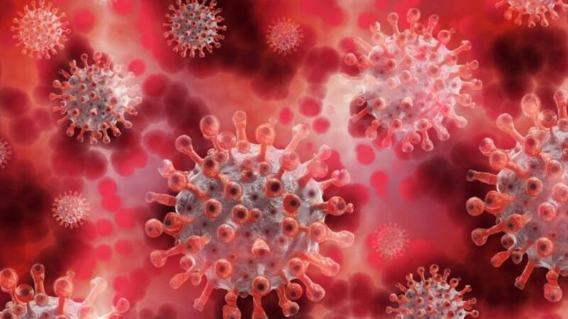 Alerta en EU por aumento de casos de parvovirus humano