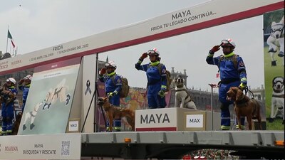 La perrita falleció en 2022 por cuestiones de la edad