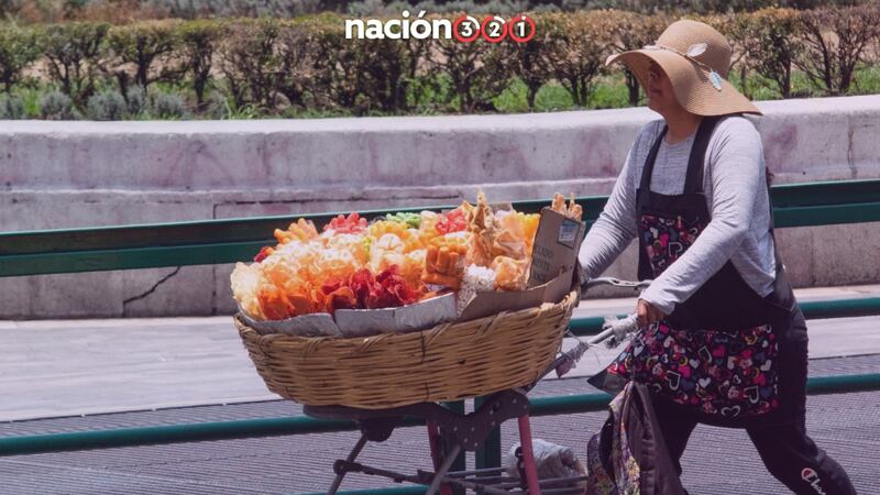 ¿Cuál será la multa para las escuelas que vendan comida chatarra?