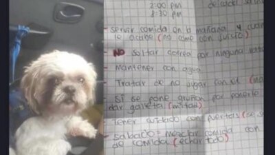 Con instrucciones de cuidado por un usuario de un taxi