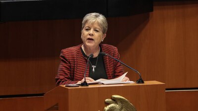 La canciller tuvo una comparecencia ante el Senado