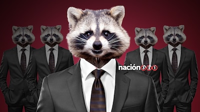 Los operadores políticos corruptos deben ser denunciados