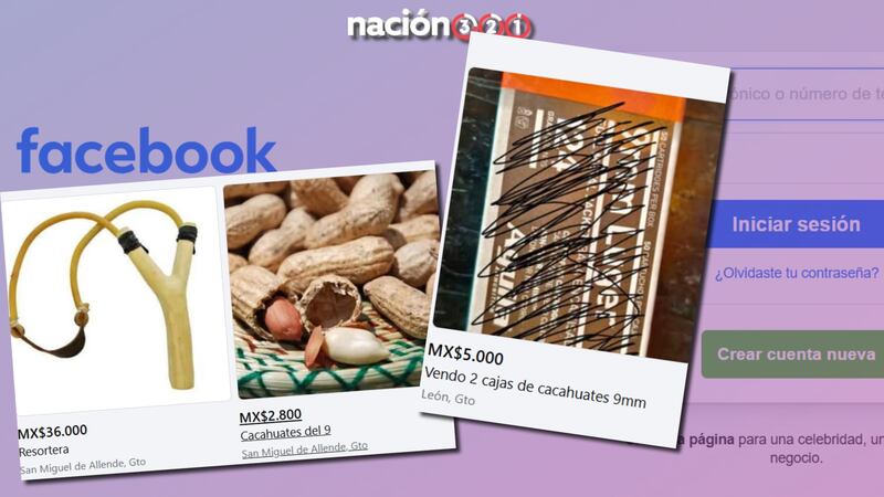 Diputados de Nuevo León piden la intervención de la policía cibernética ante venta de armas en redes