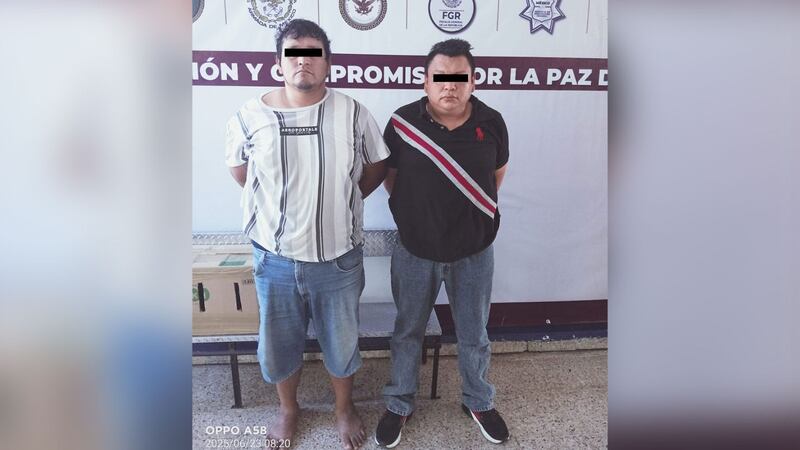Detienen a 2 hombres en Tabasco por transportar ilegalmente a 9 crías de mono araña