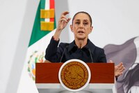 Ante cierre de fronteras por el gusano barrenador, Sheinbaum apuesta por la producción nacional