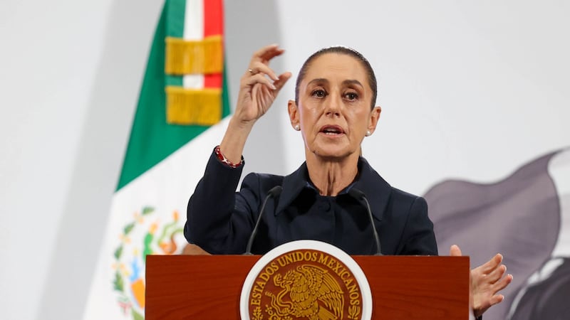 Ante cierre de fronteras por el gusano barrenador, Sheinbaum apuesta por la producción nacional