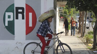 El uso de los colores patrios le beneficia al tricolor en las elecciones, dice un senador