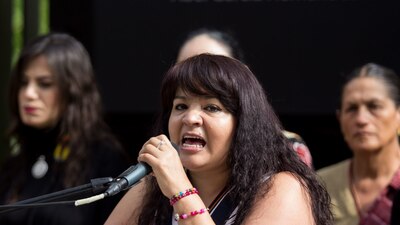 Luego de que Morena accediera a revisar el caso de Salgado Macedonio, la senadora levantó la mano