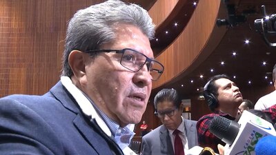 El legislador destacó los cambios estructurales que prevén en los órganos autónomos