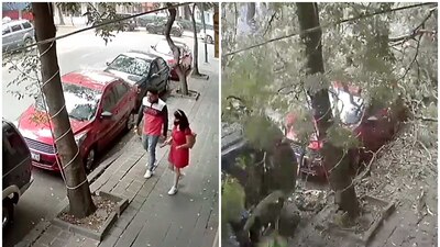 Los vientos fuertes del domingo 22 de mayo que alcanzaron los 55 kilómetros por hora